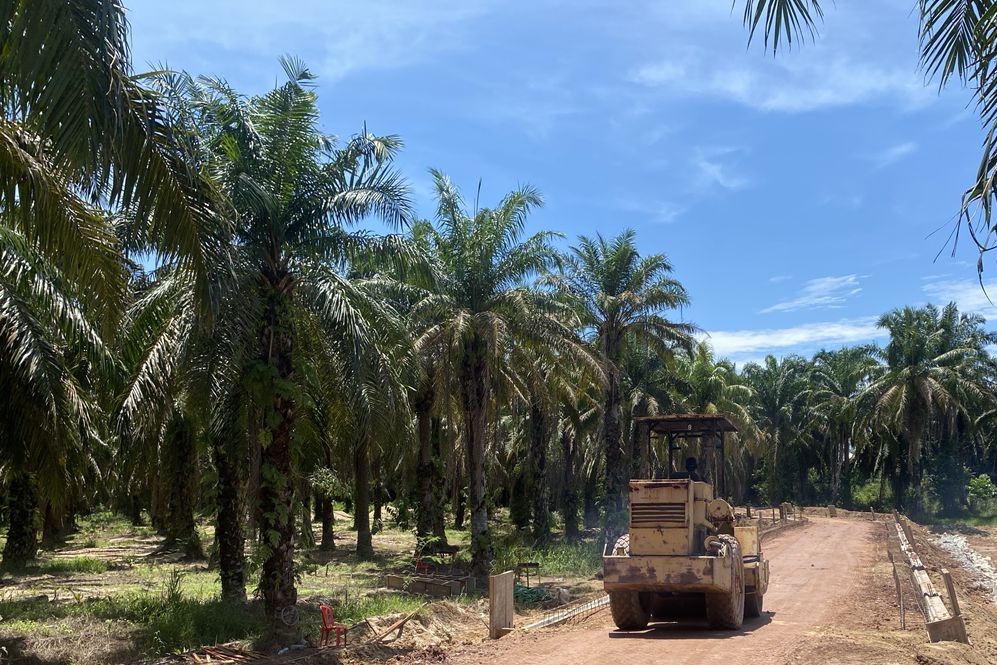 service-1 whatsapp image 2025 10 10 at 7.34.41 pm